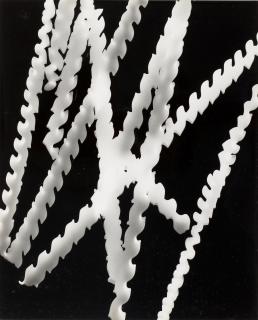 Herbert Matter - Untitled (Photogram)