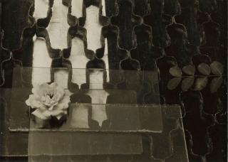 Herbert Schürmann - Rosen Auf Glasscheiben Und Gittern (Roses On Glass Plates And Grates)