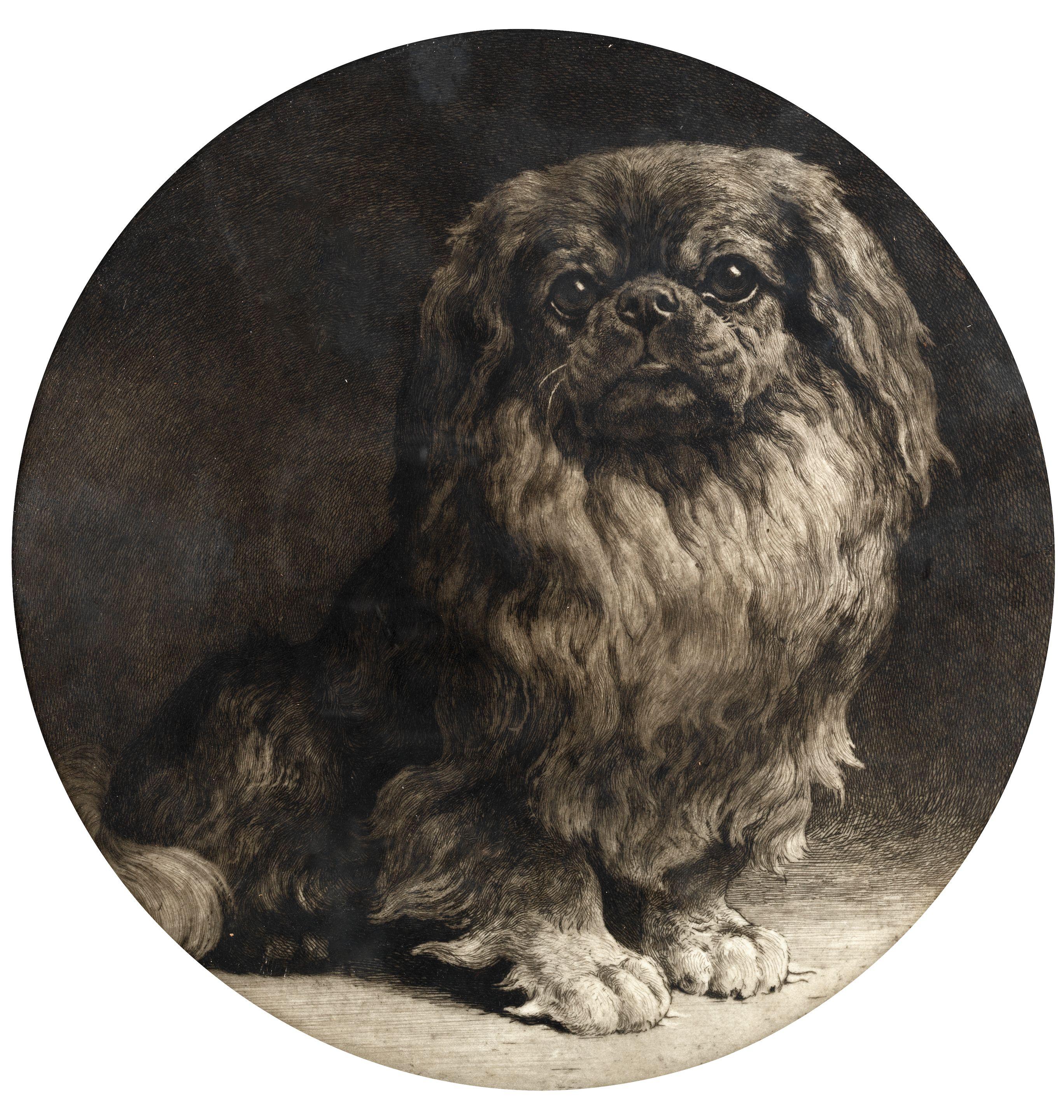 Herbert Thomas Dicksee, R.E. - A pekingese