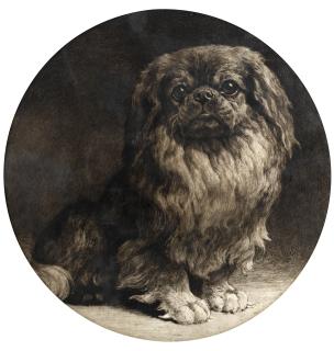 Herbert Thomas Dicksee, R.E. - A pekingese