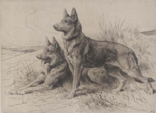 Herbert Thomas Dicksee, R.E. - Two Alsatians