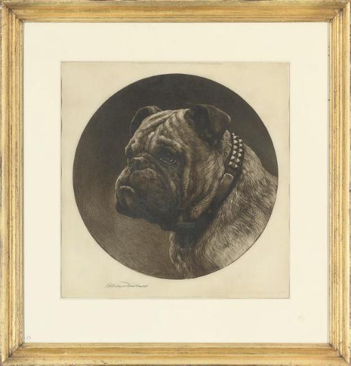 Herbert Thomas Dicksee - Bulldog