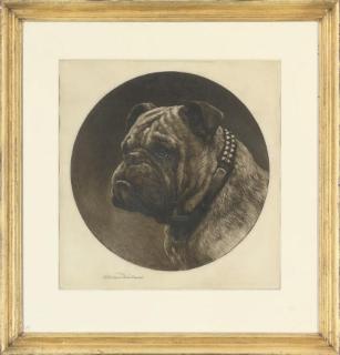 Herbert Thomas Dicksee - Bulldog
