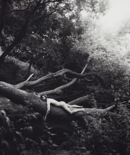 Herbert Tobias - 10 Marlene Chansons mit Kerlen illustriert von Tobias