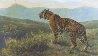 Herbert van der Poll - A tiger overlooking a valley