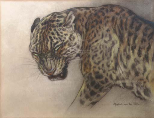 Herbert Van der Poll - Circus friends