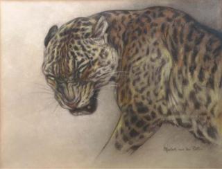 Herbert Van der Poll - Circus friends