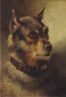 Herbert William Weekes - A border terrier