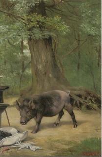 Herbert William Weekes - Curiosity