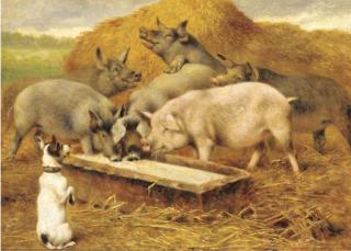 Herbert William Weekes - Feeding time