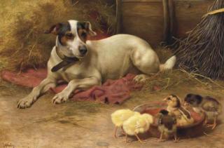 Herbert William Weekes - Guarding the chicks