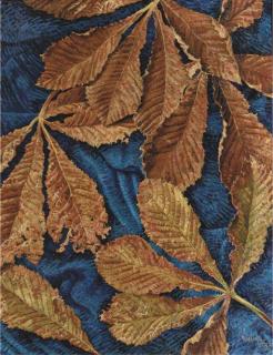 Herman Bieling - Kastanjebladeren - Chestnut leafs