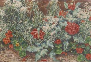Herman Bieling - Nasturtium and poppies