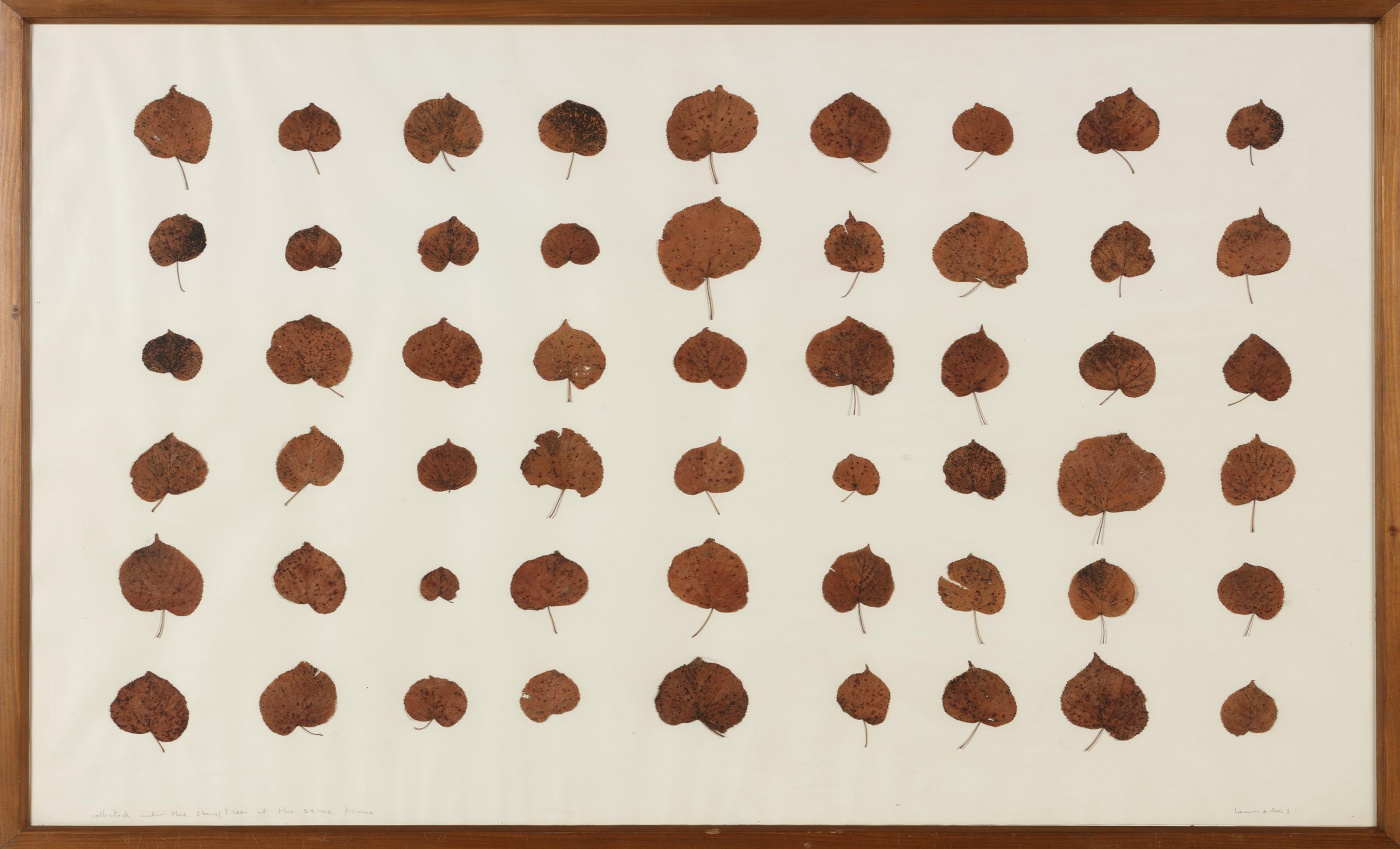 Herman De Vries - Collected Under The Same Tree At The Same Time