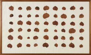 Herman De Vries - Collected Under The Same Tree At The Same Time