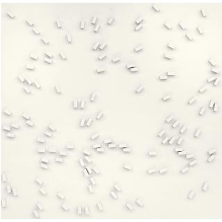 Herman De Vries - Dutch v72-54