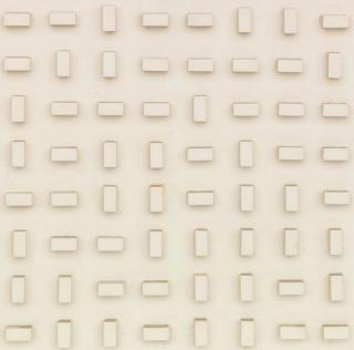 Herman de Vries - monochrom random objectivation