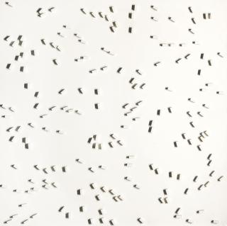 Herman De Vries - Random Objectivation - Random Streaming Fields