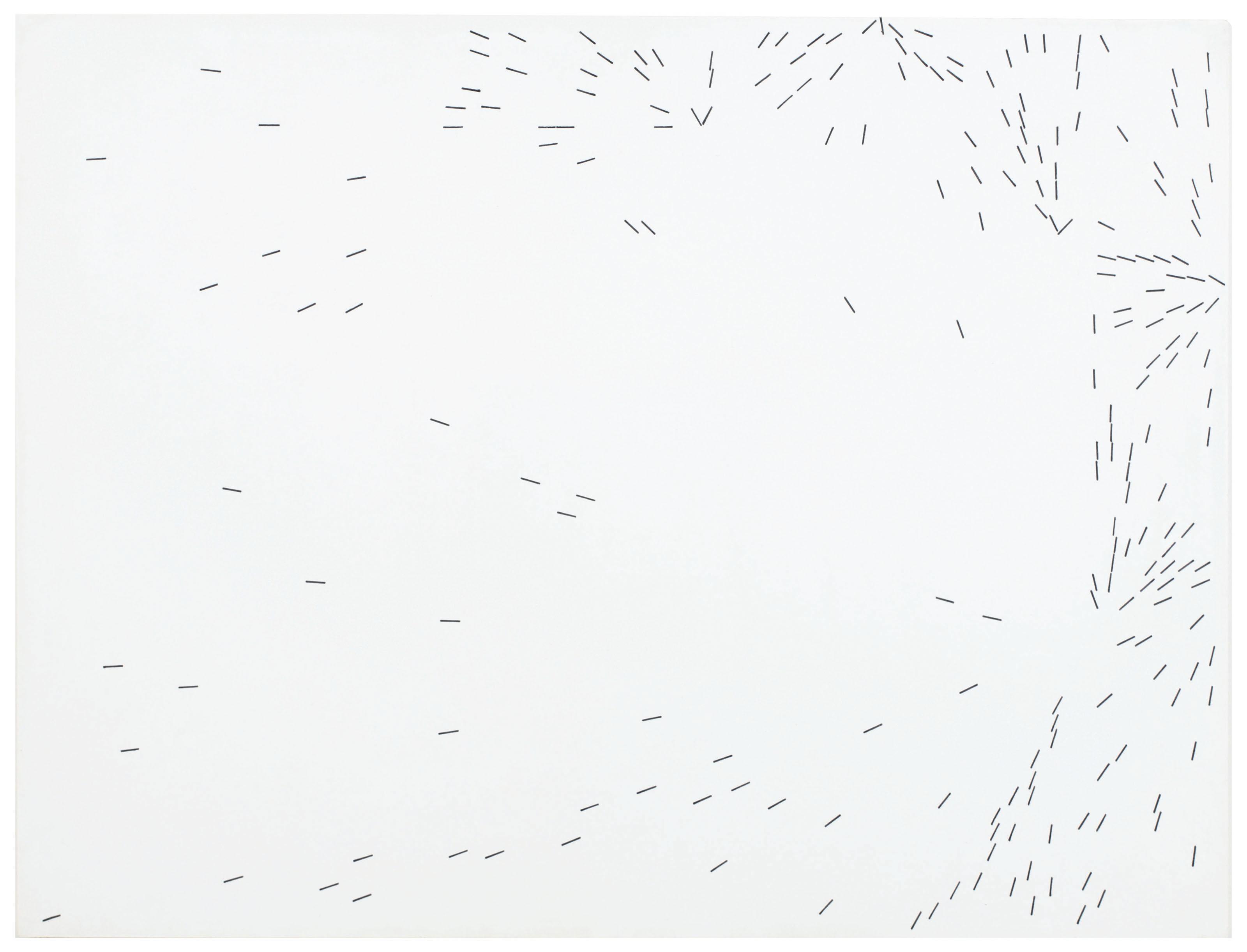 Herman De Vries - Untitled (Random Objectivation)