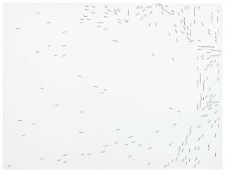 Herman De Vries - Untitled (Random Objectivation)