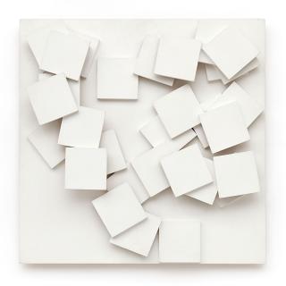 Herman de Vries - V 67-99 random structure