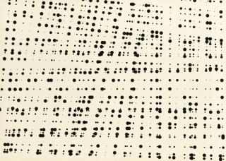 Herman de Vries - V 74 - 10 (random dot grid pattern)