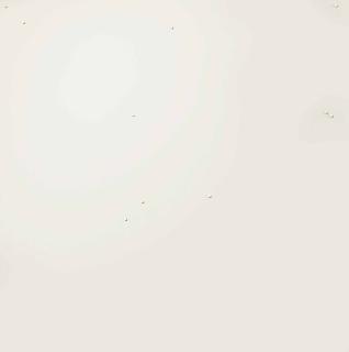 Herman De Vries - V72-82 S. Random Objectivation