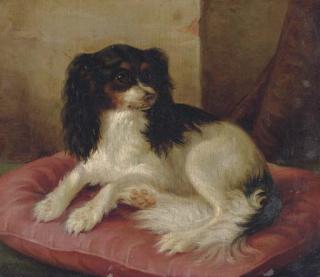Herman Freese - A King Charles Spaniel On A Red Cushion