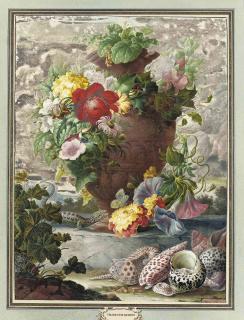 Herman Henstenburgh - A spray of chrysanthemums, a fritillary, pink hollyhock, morning glory and a red dahlia in an urn, with various shells and a lizard in the foreground