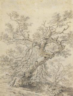 Herman Saftleven - A Tree In A Wood