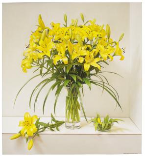 Hermann Camargo - Untitled