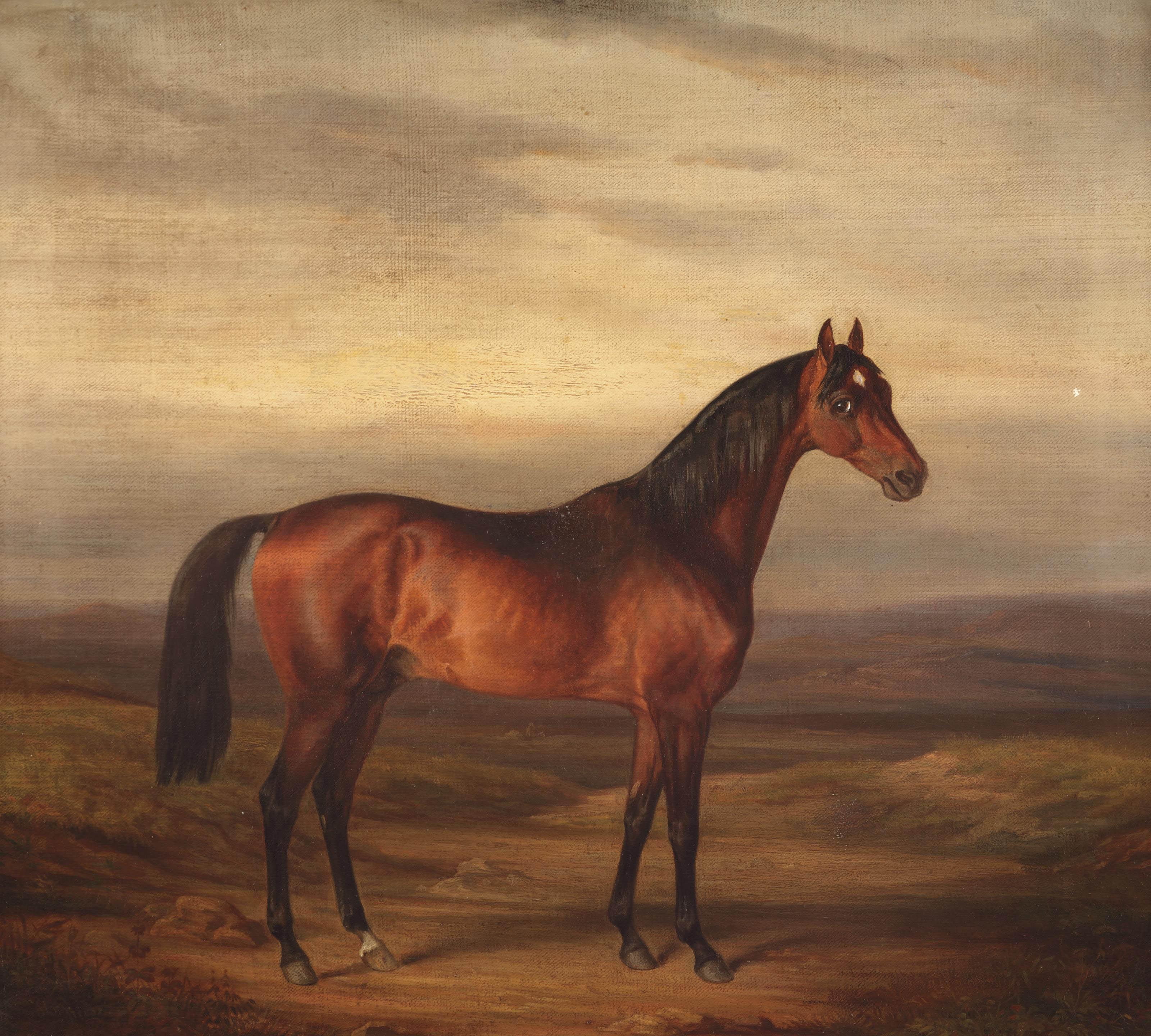 Hermann Freese - A young brown stallion