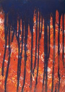 Hermann Nitsch - Vorzugsausgabe zur Videodokumentation des 6-Tage-Spiels