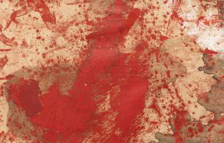 Hermann Nitsch - „Wiener Secession“