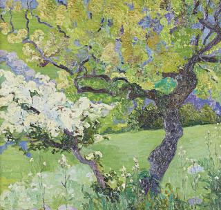 Hermenegildo Anglada Camarasa - Arboles floridos en prado verde