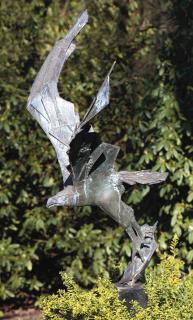 Hetty Heyster - An Osprey