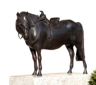 Hetty Heyster - Saddled horse