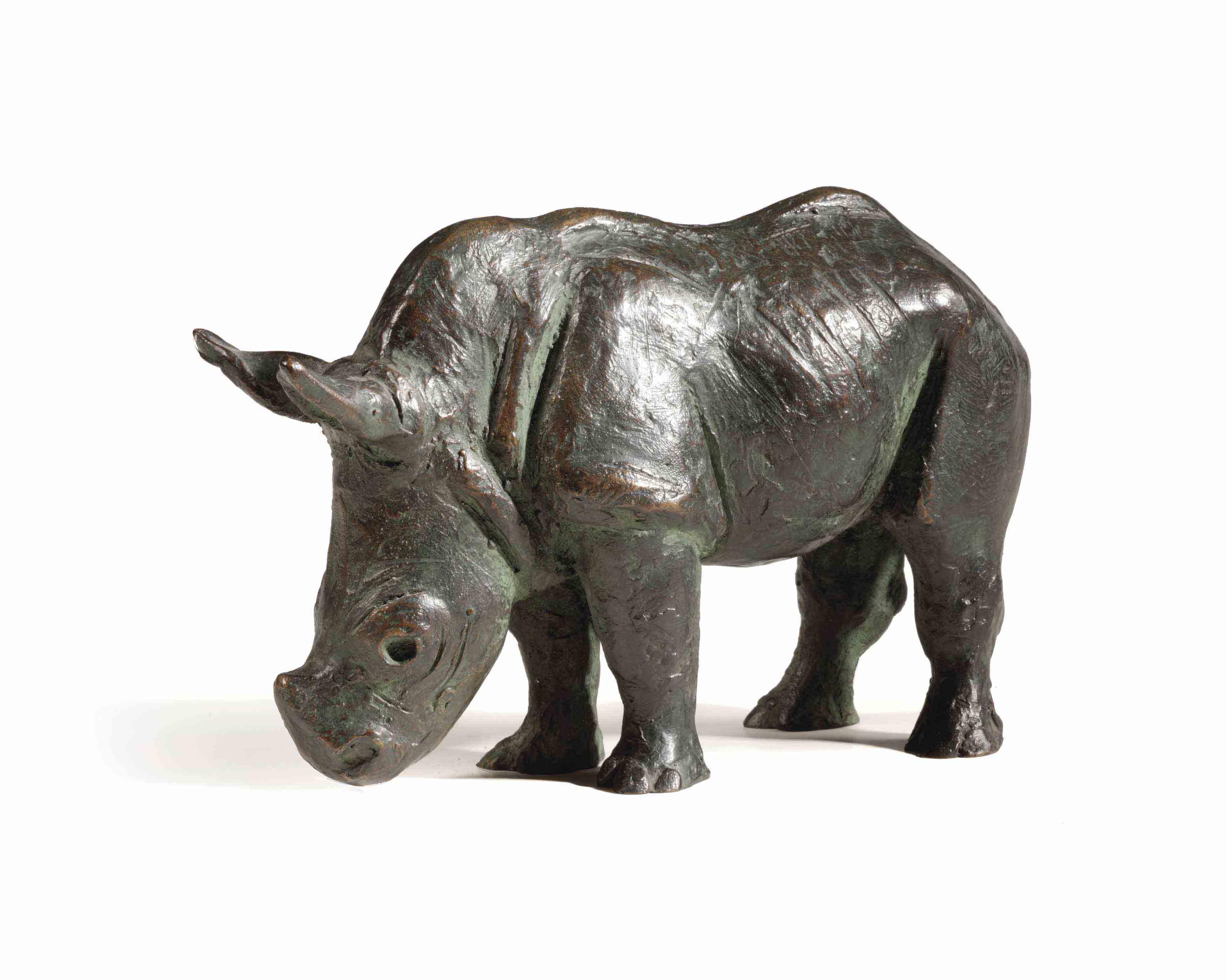 Hetty Heyster - Young Rhinoceros
