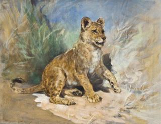 Heywood Hardy, A.R.W.S., R.O.I. - A Lion Cub