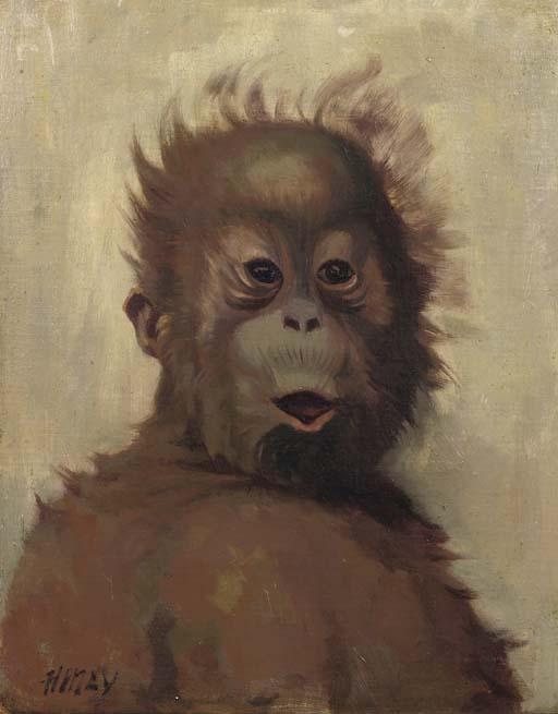 Hilda May Gordon - Baby orang utan