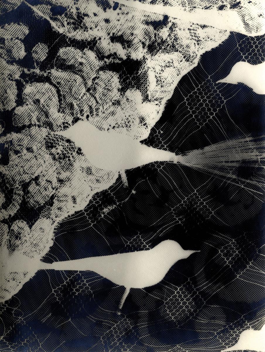 Hilde Horn - Photogramm mit Spitze und Vögeln