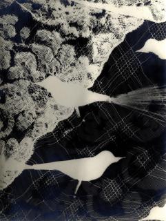 Hilde Horn - Photogramm mit Spitze und Vögeln