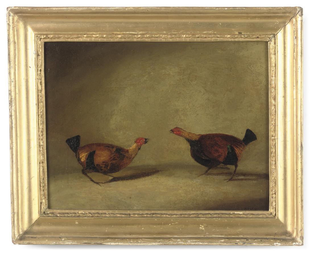 Hilton Lark Pratt - Cock fighting