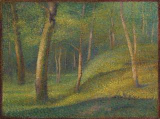 Hippolyte Petitjean - Sous-Bois