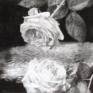 Hiroki Yasutomi - Circulating Dew