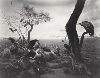 Hiroshi Sugimoto - Hyena Jackal Vulture