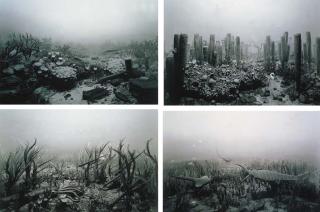 Hiroshi Sugimoto - (I) Devonian Period (Ii) Permian Period (Iii) Silurian Period (Iv) Ordovician Period