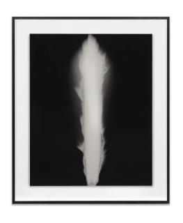 Hiroshi Sugimoto - In Praise of Shadow
