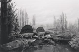 Hiroshi Sugimoto - Permian-Land