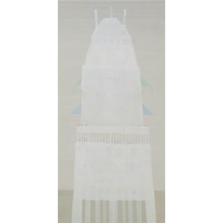 Hiroshi Sugito - Animal Study